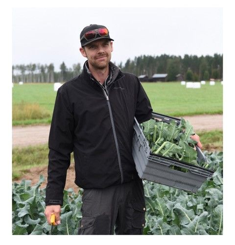 Man stående i grönsaksland